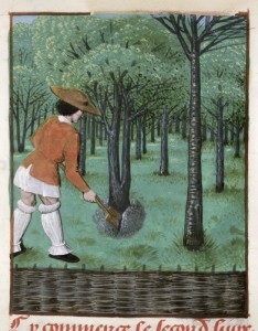 Man working in orchard Royal 14 E.VI, f.28