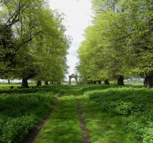 The avenue leading to one of Charlecote's gates