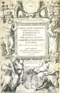 A later title page, supposed to be identical to that from Dodoens, 1583