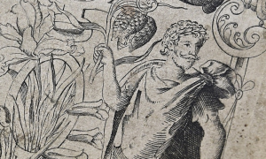 Detail from the 1597 title page of Gerarde's Herball